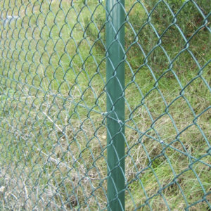 Simple Torsión